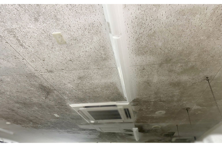 施工前の天井のカビ