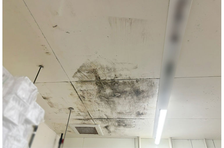 施工前の天井のカビ