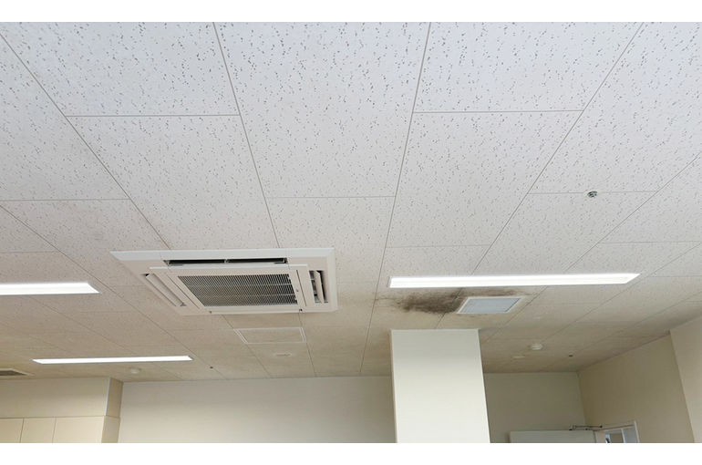 施工前の天井のカビ