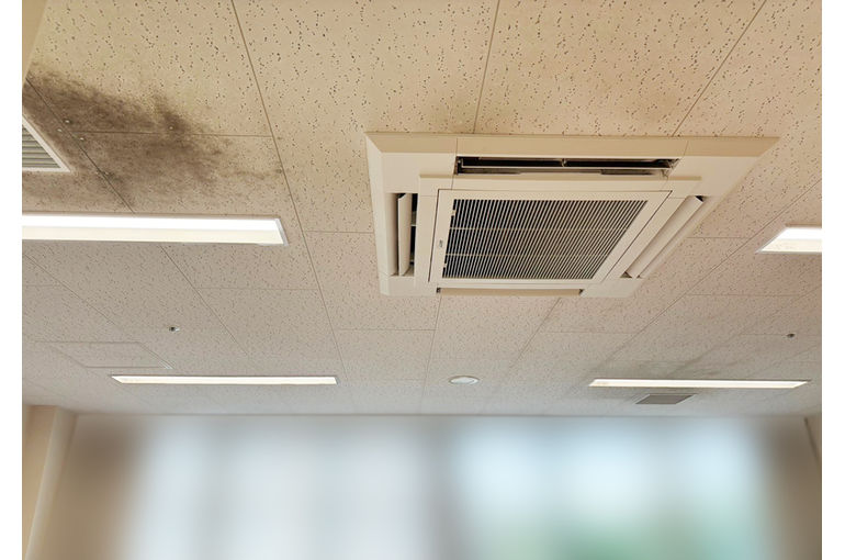 施工前の天井のカビ