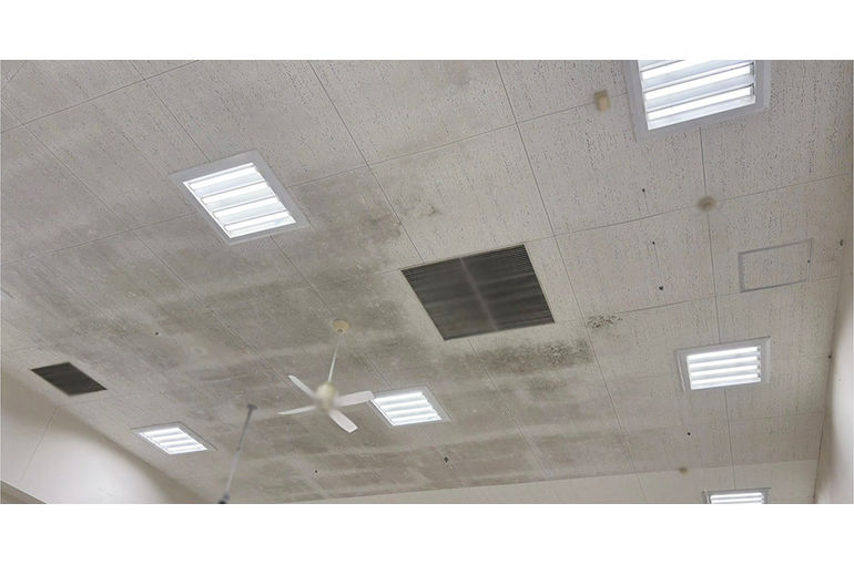 施工前の天井のカビ