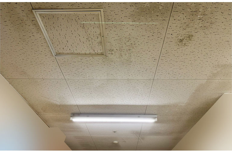施工前の天井のカビ