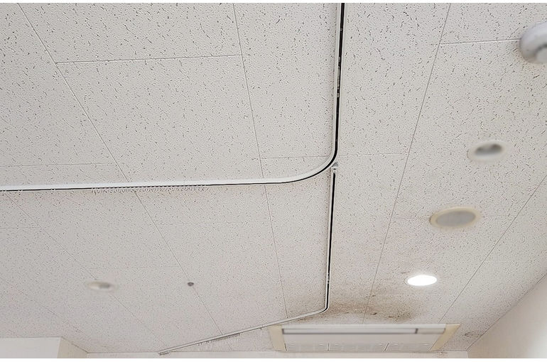 施工前の天井のカビ