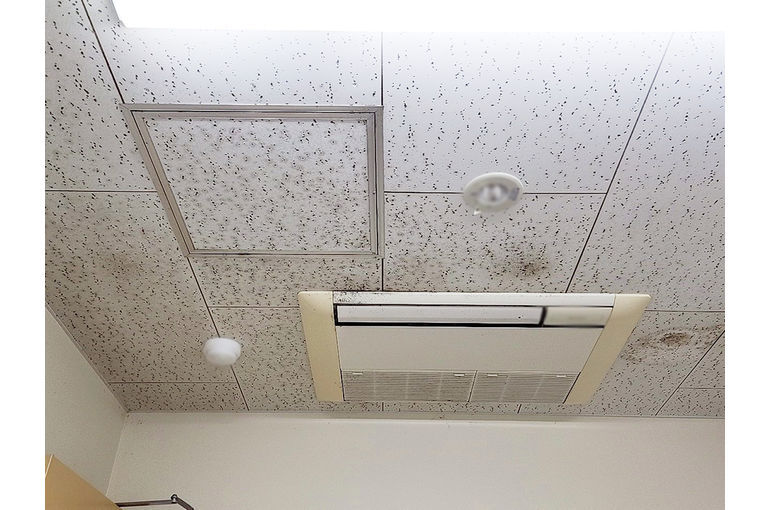 施工前の天井のカビ