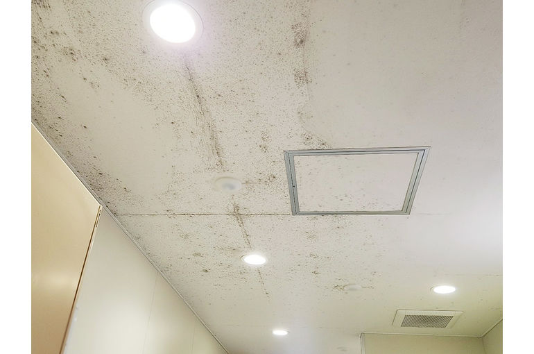 施工前の天井のカビ