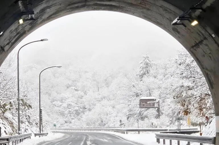 2025年始まりました🐍