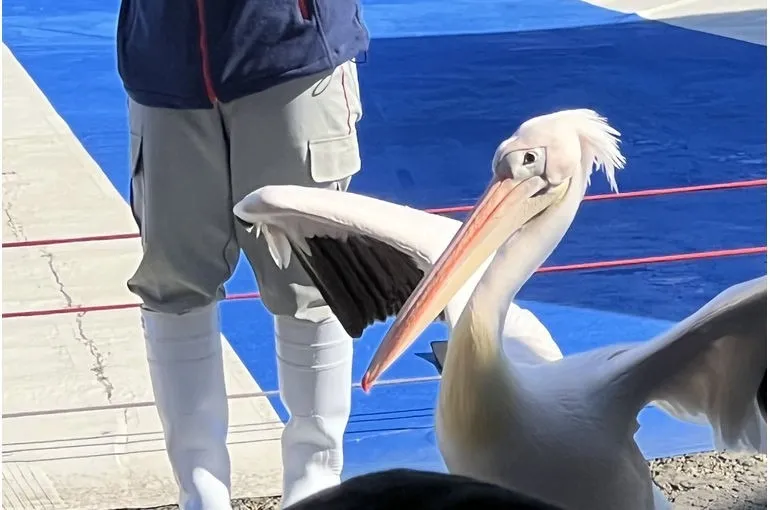 2月もあと少しです❄