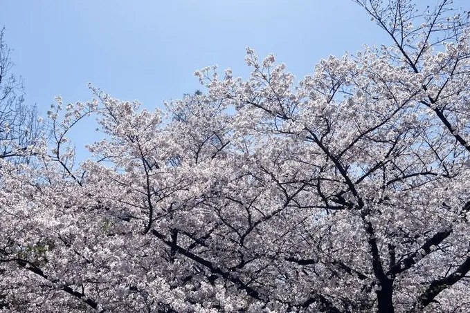 あたたかくなってきました！