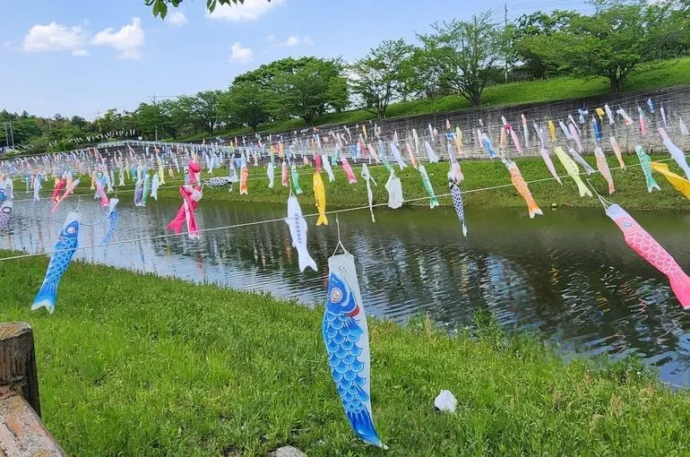 5月になりました🎏