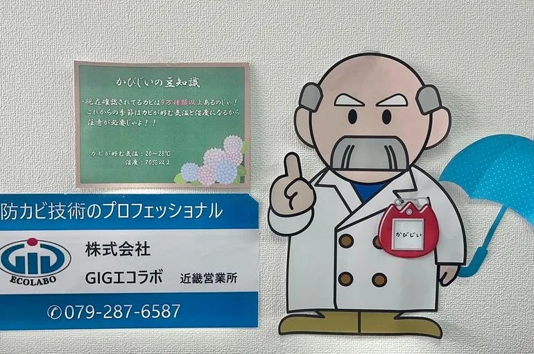 梅雨の晴れ間☔🌤