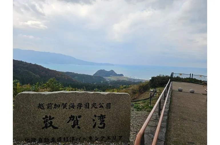 2025年もあと1ヶ月🐍