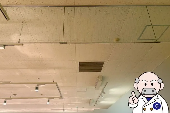 宮城県のスーパー