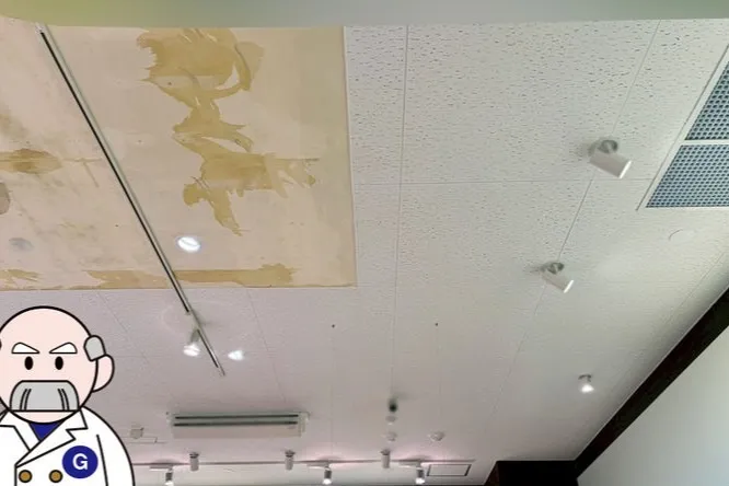 山形県のスーパー