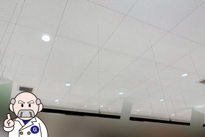 愛知県のドラッグストア