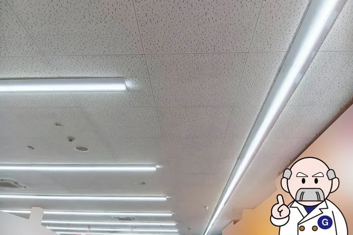 愛媛県のドラッグストア