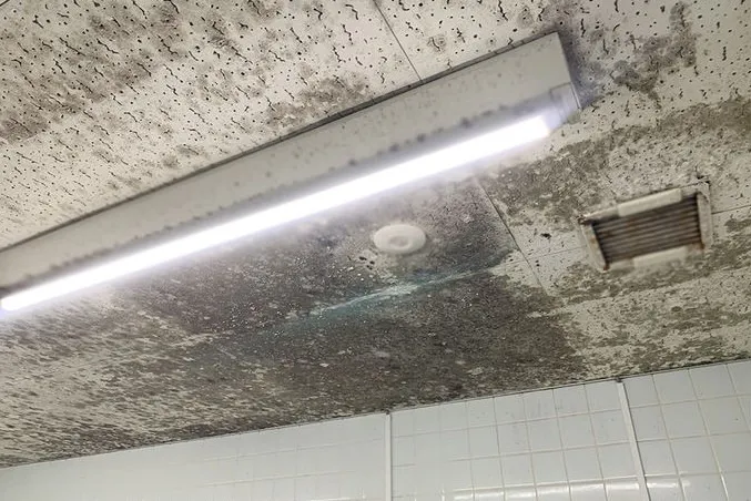 千葉県のスーパー