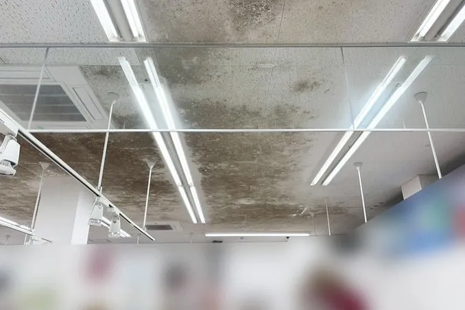 鹿児島県のスーパー