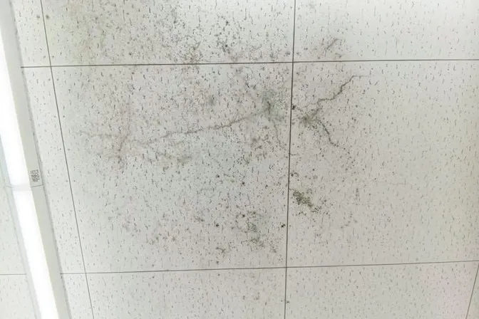 奈良県のドラッグストア