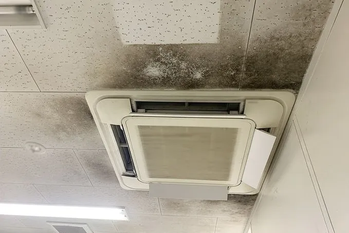 茨城県のサービスエリア