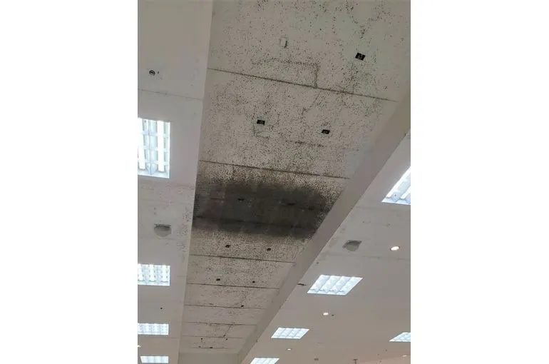 中国地方のスーパー