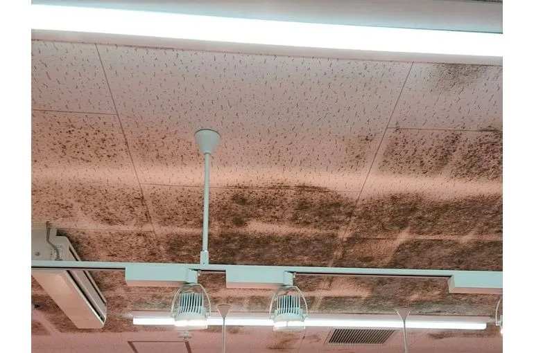 大分県のスーパー