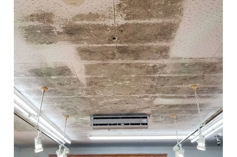 大分県のスーパー