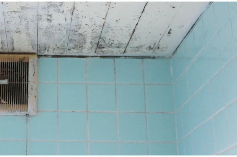 福岡県の個人住宅