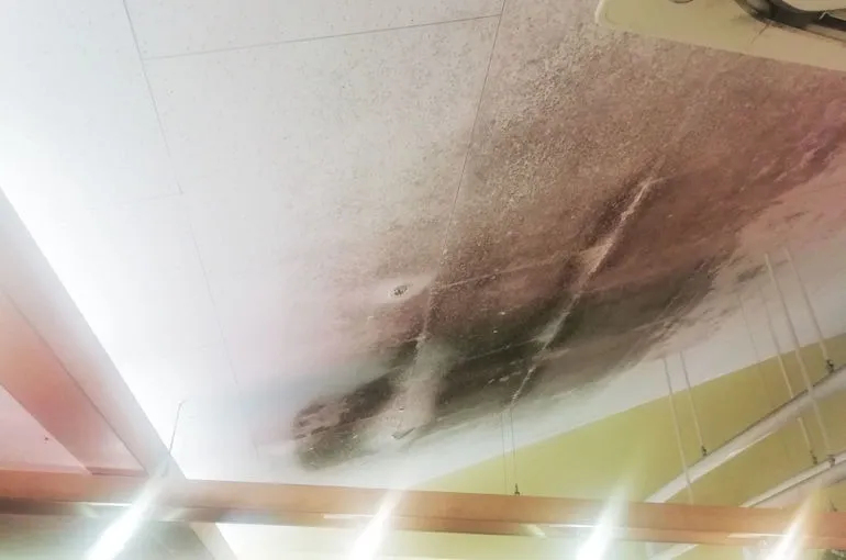 福岡県のスーパー