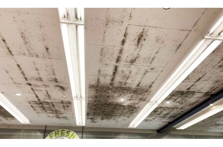 神奈川県のスーパー