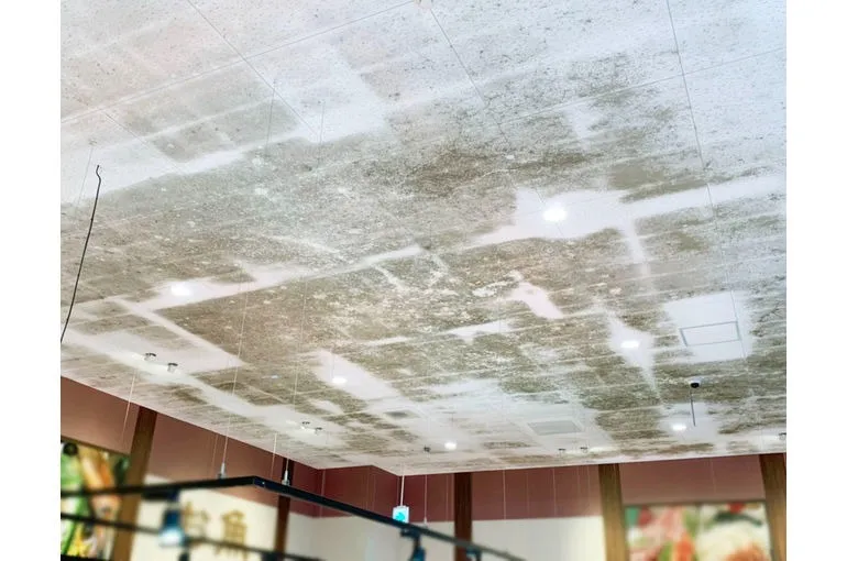 愛媛県のスーパー