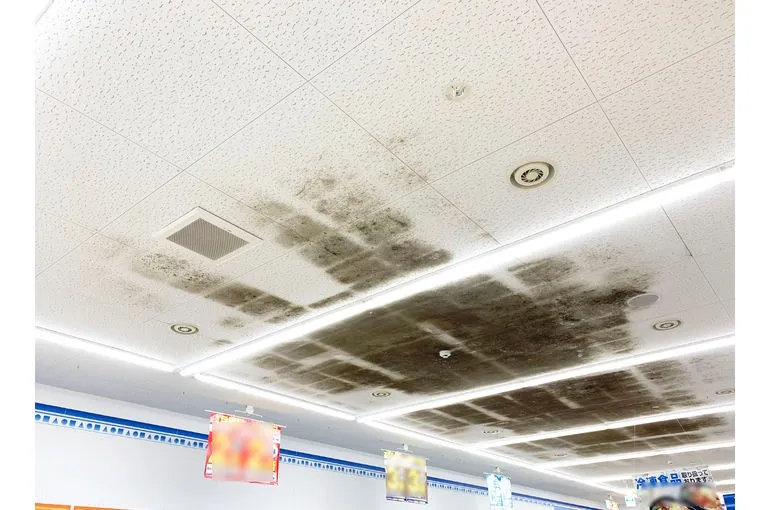 神奈川県のドラッグストア