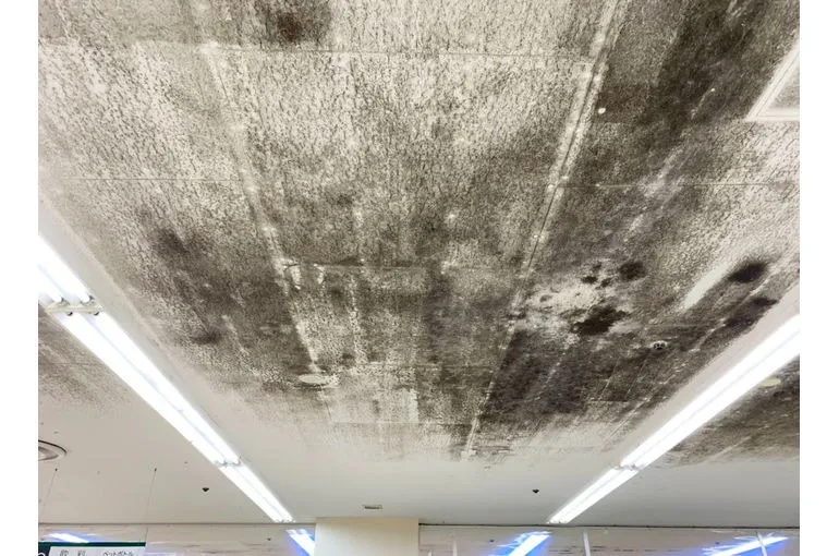 神奈川県のスーパー