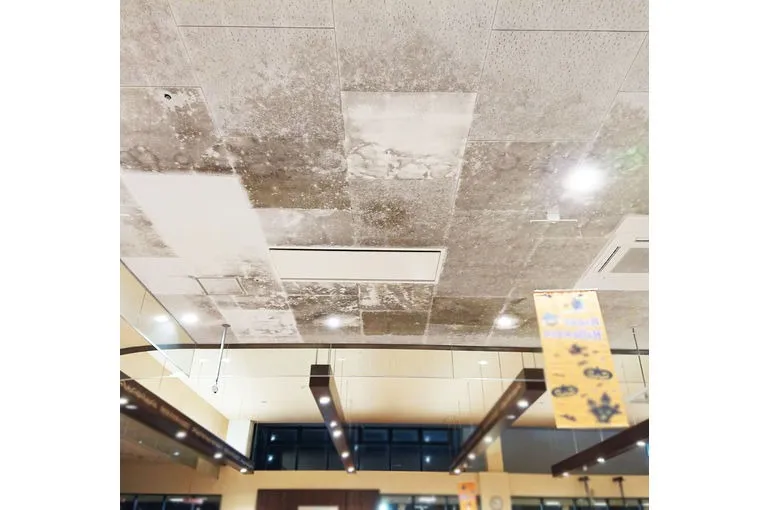 福岡県のスーパー