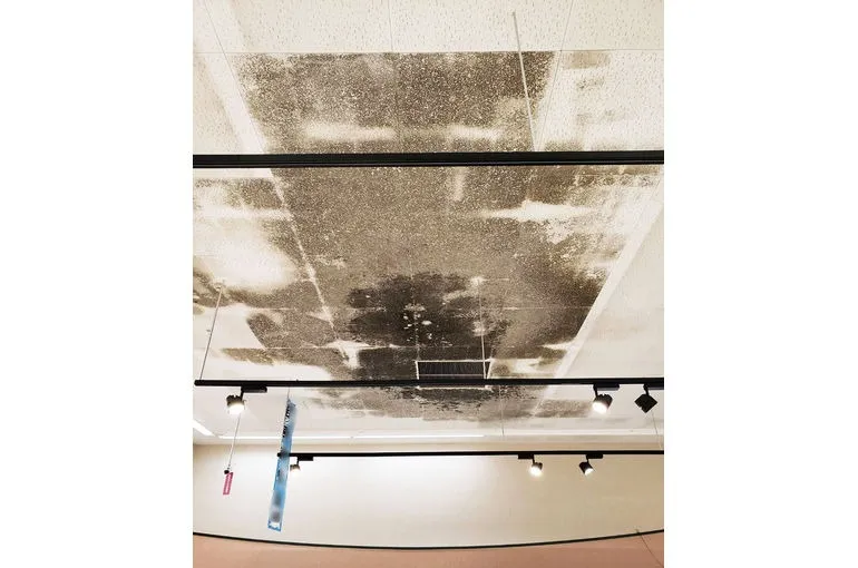 山口県のスーパー