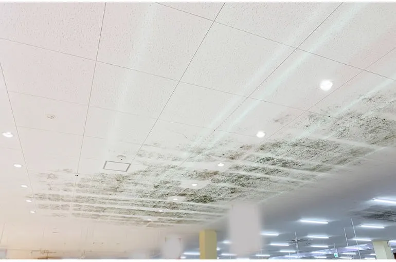 福島県のスーパー