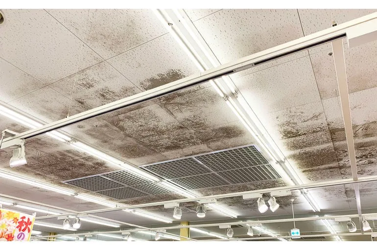 新潟県のスーパー