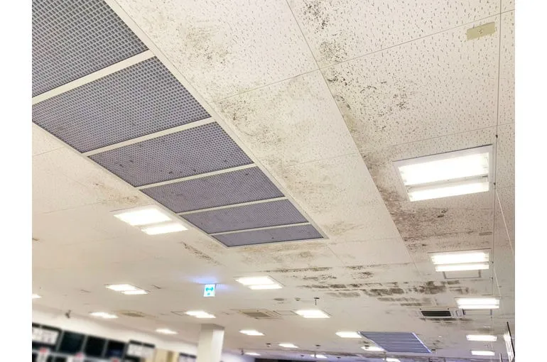 神奈川県のスーパー