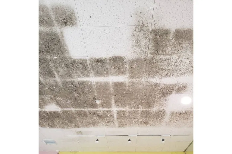 熊本県のスーパー