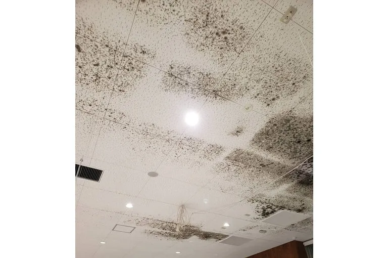 福岡県のスーパー