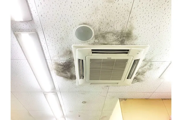 岡山県のスーパー