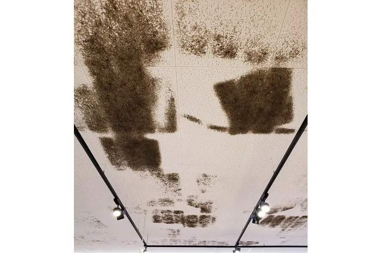 兵庫県のスーパー