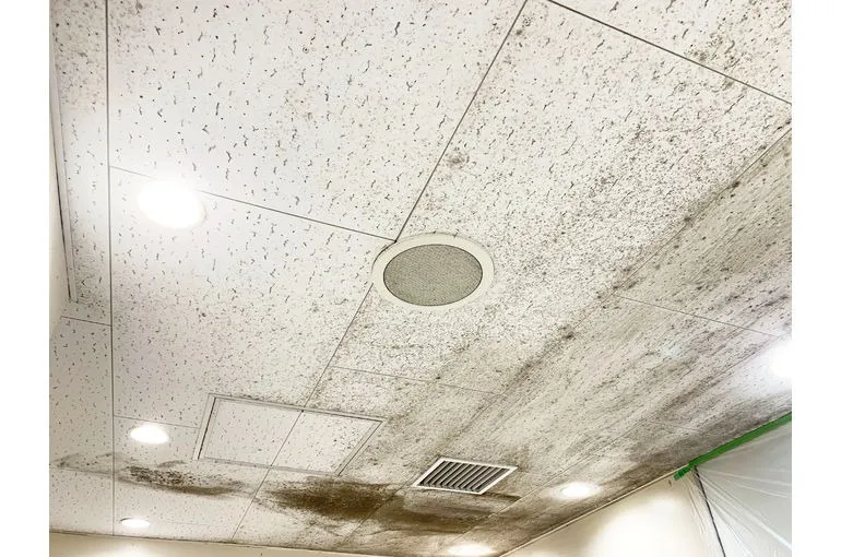 広島県のスーパー