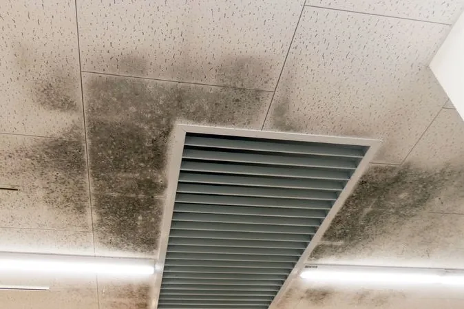 福岡県のスーパー