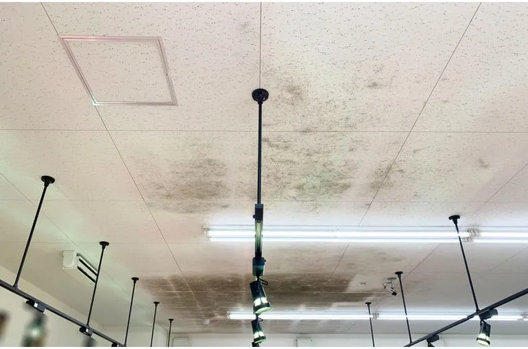 大阪府のスーパー