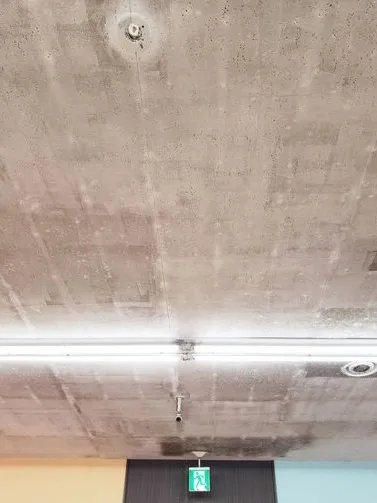 熊本県のスーパー