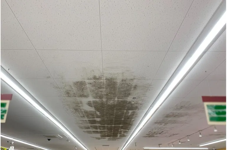 茨城県のスーパー