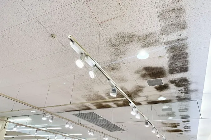 新潟県のスーパー