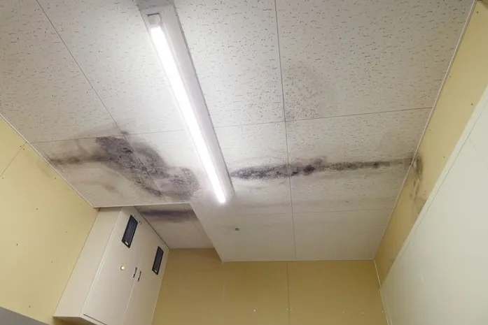 兵庫県のスーパー