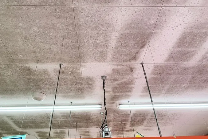 埼玉県ディスカウントストア