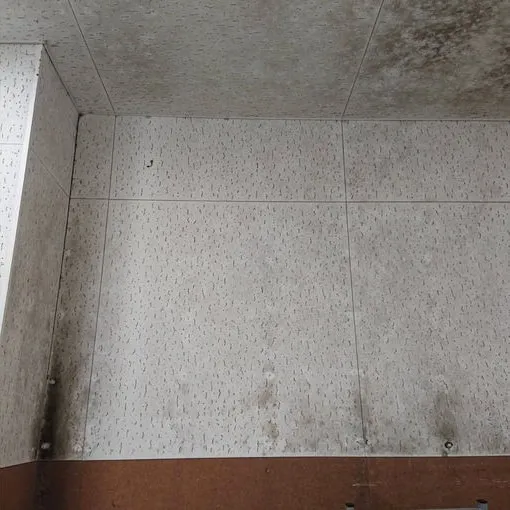 高知県のスーパー